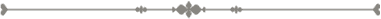 Frame decorative line
