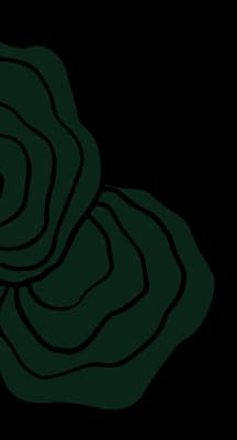 Background flower illustration