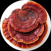 Chill the F Out - Reishi-loaded comfort eats