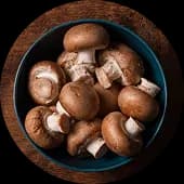 Bounce Back - Shiitake + Turkey Tail immune armor