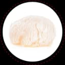 Lion's Mane