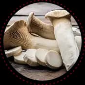 Truffle fries with Lion’s Mane and Heat N Honey.